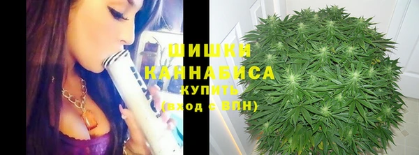 спайс Аркадак