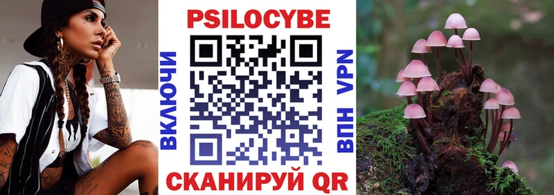 Псилоцибиновые грибы Psilocybe  Чегем 